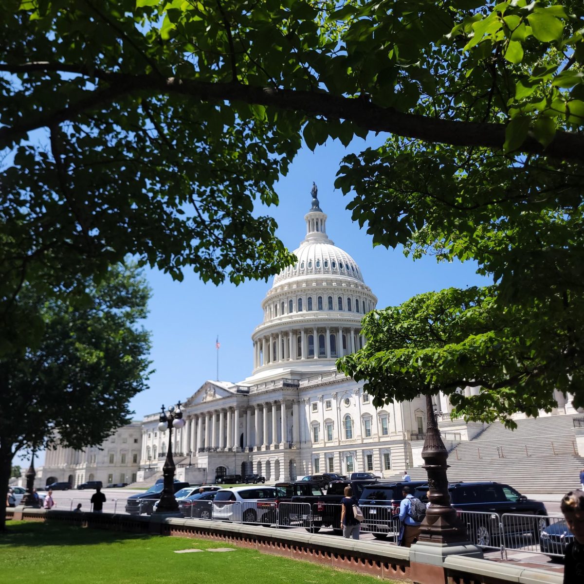 The United States Capitol Building in Washington D.C.